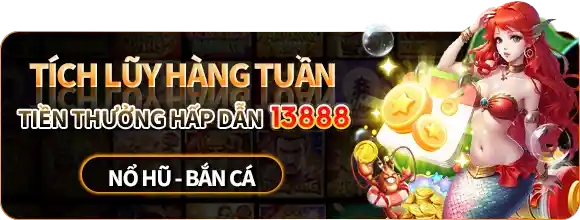 23WIN